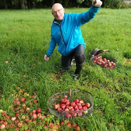 Proche De Deauville بيت للعطل