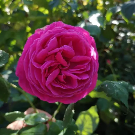 بيت للعطل Proche De Deauville *