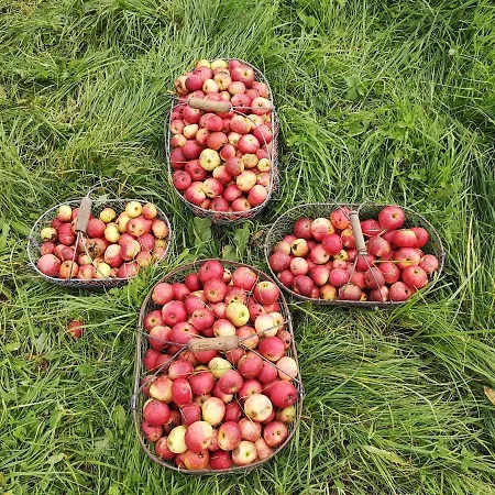 Proche De Deauville بيت للعطل Pierrefitte-en-Auge