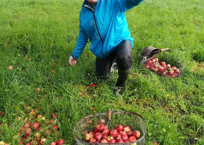 Proche De Deauville Prázdninový dům