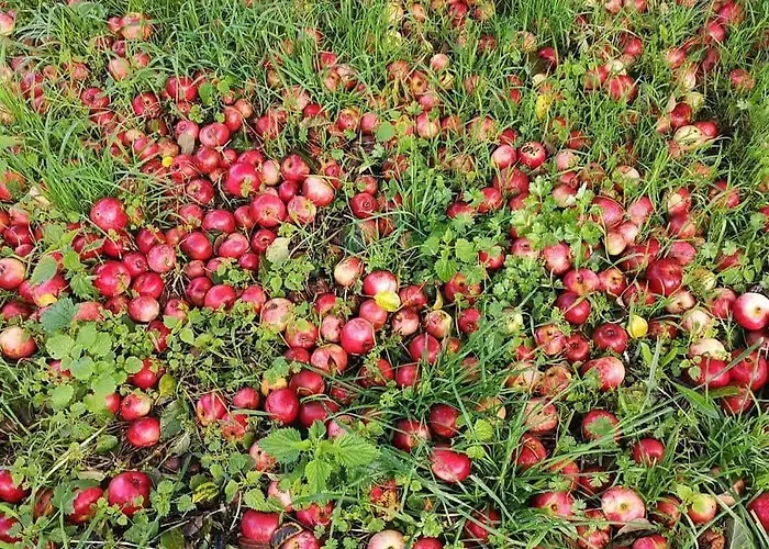 Prázdninový dům Proche De Deauville *