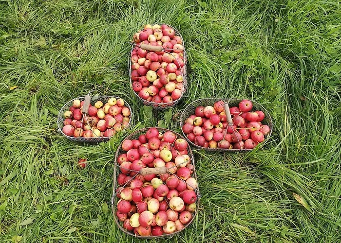 Proche De Deauville Prázdninový dům Pierrefitte-en-Auge